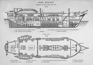 Die HMS Beagle/Darwins Schiff