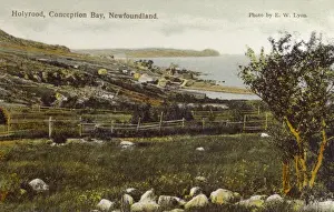 Newfoundland Coastline Drucke: Holyrood, Conception Bay, Newfoundland