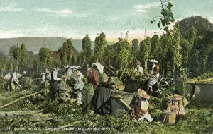 Hüttenschnitter