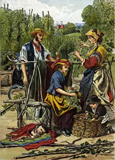 Hop Picking In England Drucke: Hop Picking