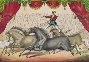 Circus Performance Drucke: The four horse act