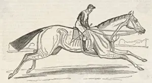 Victorian Era Sport Drucke: HORSE BEESWING