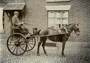 Pferd und Felg
