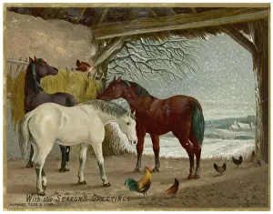 Winter Rural Landscape Drucke: Horses in Stable
