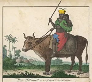 Racial Stereotypes In Art Drucke: Hottentot on Ox