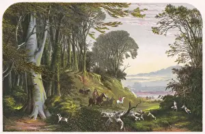 Aus den Hundezähnen