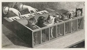 Drucke von Verschiedenheiten auf einem katatonischen Skalenspiel : die Tasten sind mit den Katzen Schwänchen verbunden und wenn sie betätigt werden Musik-Plakate: Katze Klavier