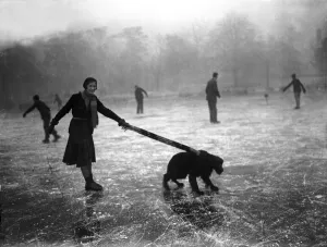 Eislaufenhund