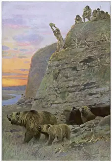 Early Human Evolution Drucke: Hunting Cave-Bear