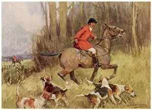 Jagd / Fuchs / Die Verfolgung