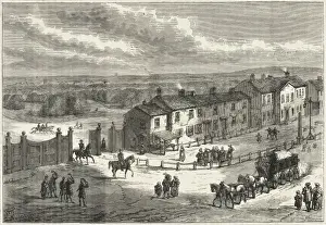 Hampstead Heath Bridge