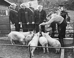 Polizei Drucke: Polizeiprufstelle für Schweine im Zweiten Weltkrieg in Hyde Park