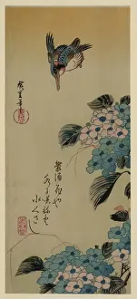 Blume und Königsfisch