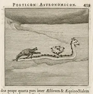 Greek Mythology Creatures Drucke: Hyginus / Hydra