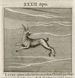 Roman Mythological Creatures Drucke: Hyginus / Lepus