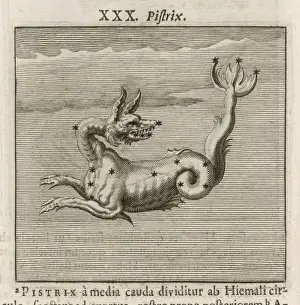 Ancient Greek Constellations Drucke: Hyginus / Pistrix