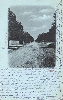 Aleea Copou, Iasi, Rumänien