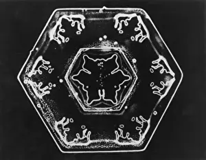 Ice Crystals Drucke: Ice Crystals