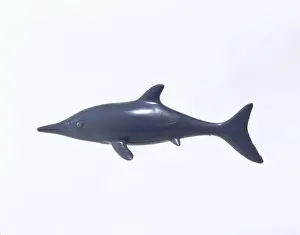 Prehistoric Marine Reptile Drucke: Ichthyosaur
