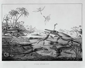 Drucke von Duria Antiquior - Eine ältere Dorset von Sir Henry Thomas De la Beche F Drucke: Ichthysaurier, Pliosaurier, Pterodaktilos