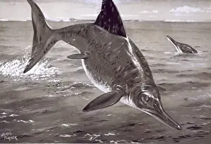 Ichthyosaurus