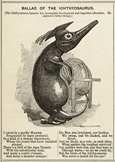 Ichthyosaur als Museumstück