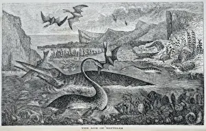 Ichthyo-Saurier, Ptero-Daktylus, Pleisio-Saurier
