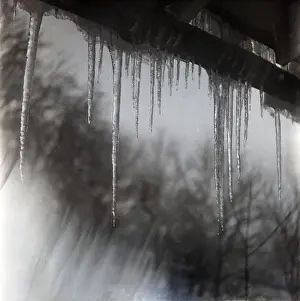 Cold Winter Scene Drucke: Icicles hanging