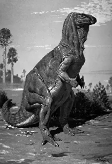 Ausgestorben Drucke: Iguanodon
