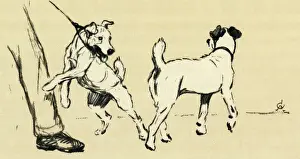 Illumination von Cecil Aldin, Hund spazieren gehen