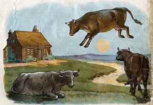 Drucke von Illumination, Hallo Diddles-Diddles ... die Kuh sprang über den Mond. (2 von 4) um Ende des 19. Jahrhunderts Kinderzimmer Drucke: Illustration, Hey Diddle Didley