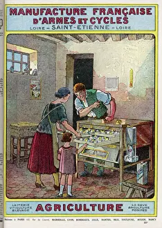 Rural Family Scene Drucke: Incubating Chicks