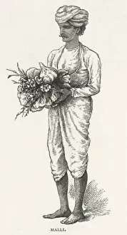 Traditional Indian Art Drucke: Indian Malli