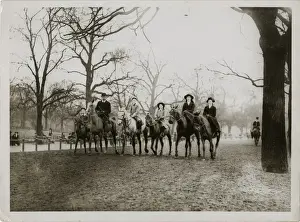 Traditional Equestrian Attire Drucke: (insert)