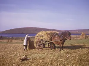 Rolling Hills Landscape Photo Drucke: (insert)