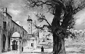 Holy Land History Drucke: Inside the Haram esh Sherif, Jerusalem