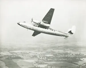 Elisabeths-Galfr-Übersetzungsvorlage im Flug