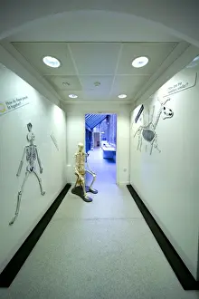 Natural History Museum Exhibits Drucke: The Investigate Centre