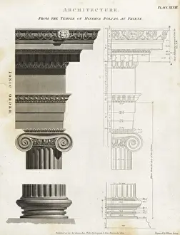 Abraham Rees Cyclopedia Prints Drucke: Ionic column from the temple of Minerva Polias at Priene