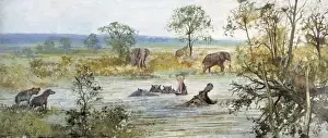 Drucke von Mögliche Szene im Trafalgarplatz London während des Ipswicher Interstadials (135.000 - 70.000 Jahre vor heute), mit Hyäne , Elefant , Hippopotaus und Löwe Hyaenidae Drucke: Ipswicher Interstadial