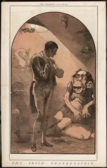 Die irische Frankenstein
