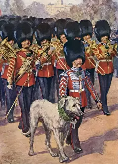 Drucke von Die Band und das Symbol der irischen Garde, ein irisches Wolfsrudel mit dem Shamrock am St Patrick's Tag. Datum: 1920er Jahre Irischer Wolfshund Drucke: irische Garde und Stammtier