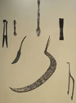 Neues Museum Berlin Germany Drucke: Iron tools. 11th-12th centuries