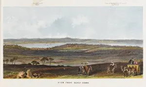 Insel von der Witte Ashy Hügel
