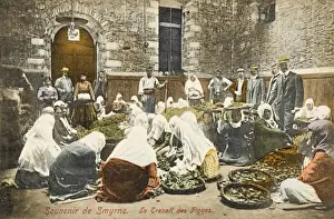 Drucke von Zugang zum Sortieren von Figs an einem Depot in Izmir ( Smyrna ), Türkei . Eine sehr traditionelle Szene im Hauptfigproduktionsbereich der Türkei Izmir Drucke: Izmir, Türkei - Die Sortierung der Feigen