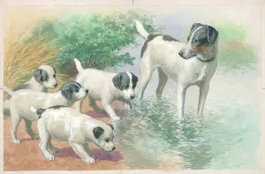 Der erste Tauchgang