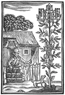 Fairy Tale Illustration Drucke: Jack Spriggins and the Enchanted Bean