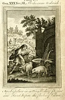 Thomas Bankes Artwork Drucke: Jacob and the flocks of Laban