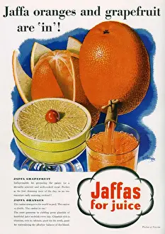 Anzeige für Jaffa Orangen und Grapefrucht, 1938