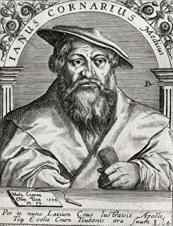 Historical Medical Artwork Drucke: Janus Cornarus